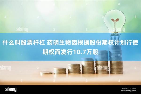 什么叫股票杆杠 药明生物因根据股份期权计划行使期权而发行10.7万股