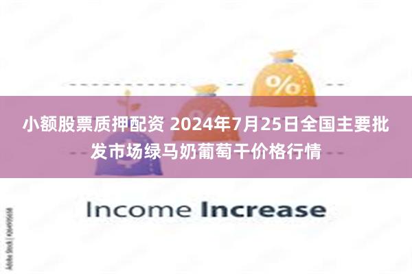 小额股票质押配资 2024年7月25日全国主要批发市场绿马奶葡萄干价格行情