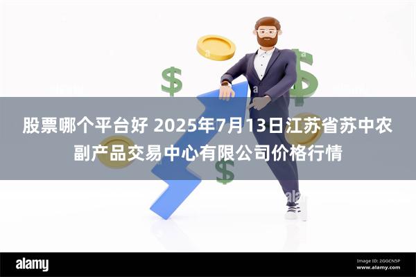 股票哪个平台好 2025年7月13日江苏省苏中农副产品交易中心有限公司价格行情