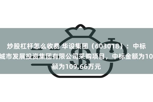 炒股杠杆怎么收费 华设集团（603018）：中标杭州余杭城市发展投资集团有限公司采购项目，中标金额为109.66万元